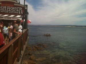 Monterey2